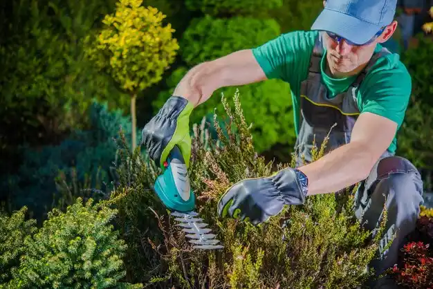 landscaping services Clintondale